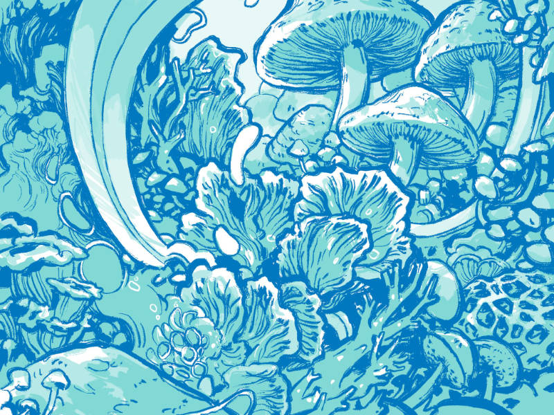 Illustration by Lye | inkloose.com